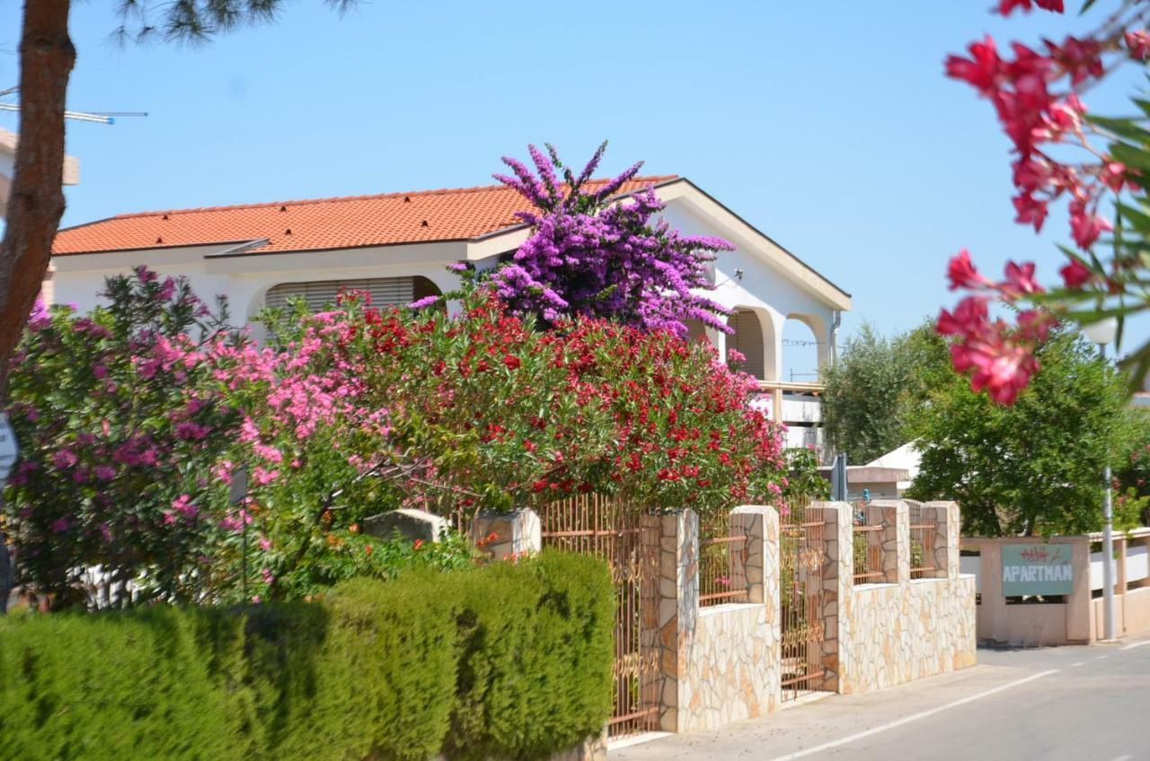 Apartements Delfin Apartment *